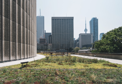 Green space in the middle of a city